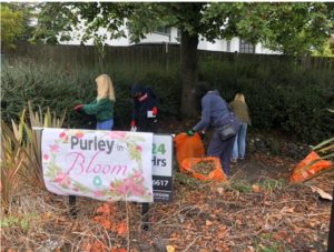 Purley In Bloom